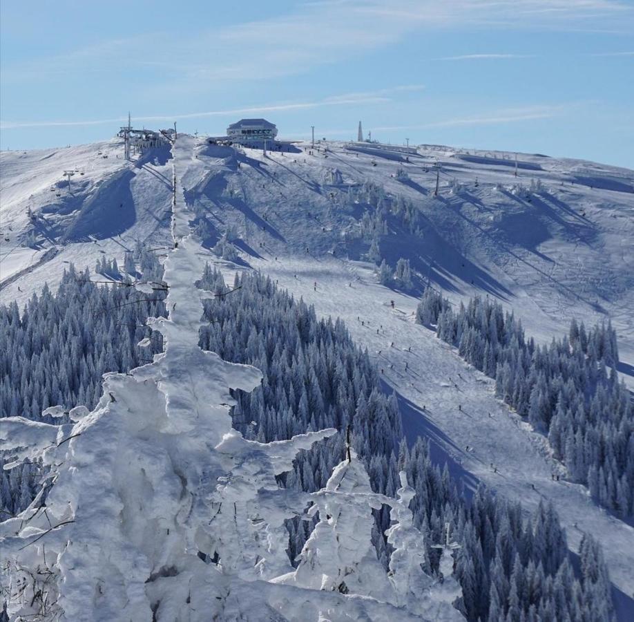 Megi Apartman - Konaci Maglic Kopaonik Exterior foto