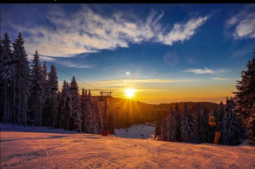 Megi Apartman - Konaci Maglic Kopaonik Exterior foto